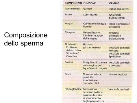 come migliorare sapore sperma|Il sapore del tuo liquido seminale dipende davvero da quello che。